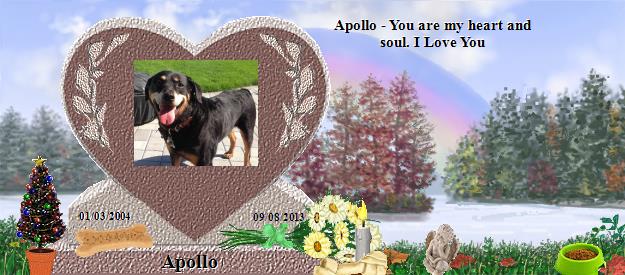 Apollo's Rainbow Bridge Pet Loss Memorial Residency Image