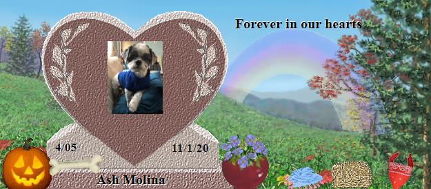 Ash Molina's Rainbow Bridge Pet Loss Memorial Residency Image