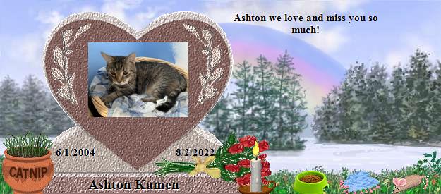 Ashton Kamen's Rainbow Bridge Pet Loss Memorial Residency Image