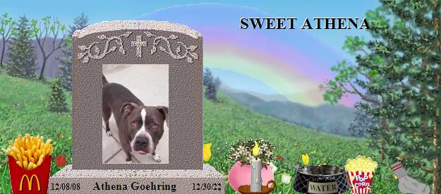 Athena Goehring's Rainbow Bridge Pet Loss Memorial Residency Image