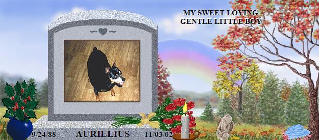 AURILLIUS's Rainbow Bridge Pet Loss Memorial Residency Image