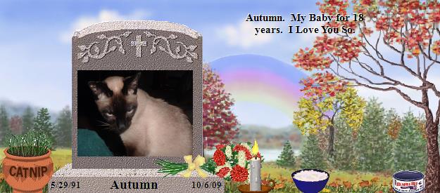 Autumn's Rainbow Bridge Pet Loss Memorial Residency Image