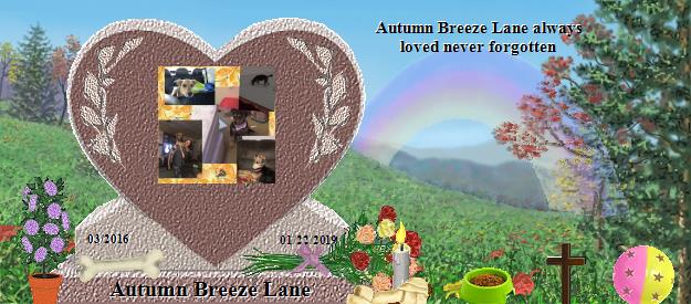 Autumn Breeze Lane's Rainbow Bridge Pet Loss Memorial Residency Image