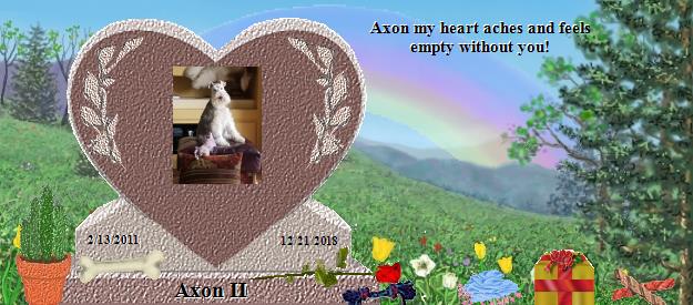Axon II's Rainbow Bridge Pet Loss Memorial Residency Image