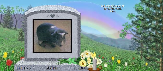 Adric's Rainbow Bridge Pet Loss Memorial Residency Image