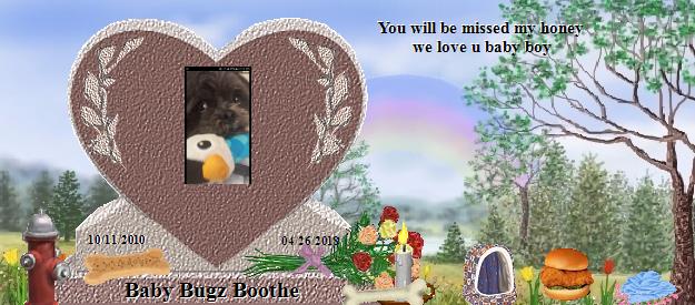 Baby Bugz Boothe's Rainbow Bridge Pet Loss Memorial Residency Image