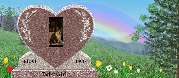 Baby Girl's Rainbow Bridge Pet Loss Memorial Residency Image