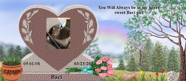 Baci's Rainbow Bridge Pet Loss Memorial Residency Image