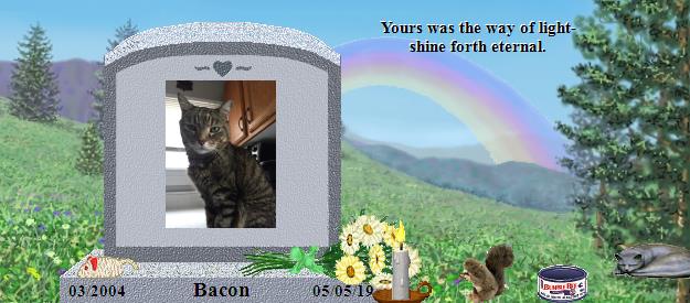 Bacon's Rainbow Bridge Pet Loss Memorial Residency Image