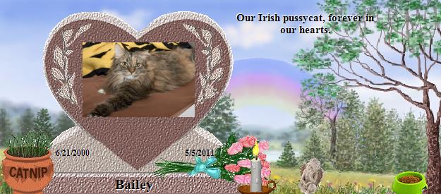 Bailey's Rainbow Bridge Pet Loss Memorial Residency Image