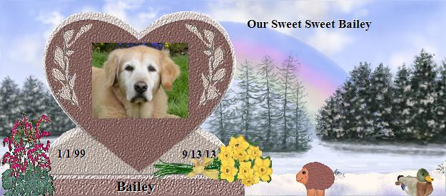 Bailey's Rainbow Bridge Pet Loss Memorial Residency Image