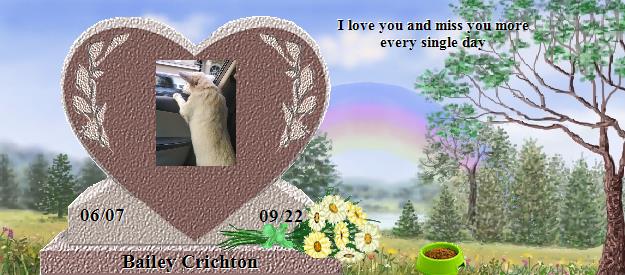 Bailey Crichton's Rainbow Bridge Pet Loss Memorial Residency Image