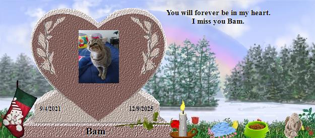 Bam's Rainbow Bridge Pet Loss Memorial Residency Image