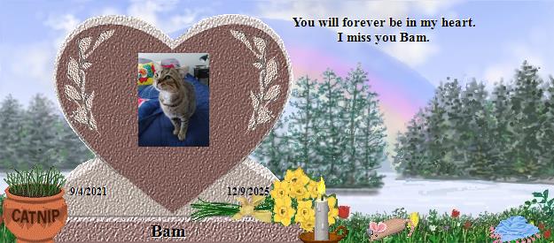 Bam's Rainbow Bridge Pet Loss Memorial Residency Image