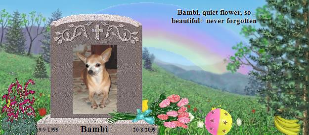 Bambi's Rainbow Bridge Pet Loss Memorial Residency Image