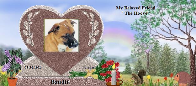 Bandit's Rainbow Bridge Pet Loss Memorial Residency Image