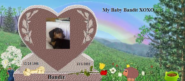 Bandit's Rainbow Bridge Pet Loss Memorial Residency Image