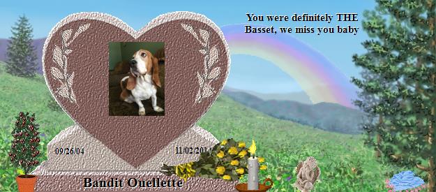 Bandit Ouellette's Rainbow Bridge Pet Loss Memorial Residency Image