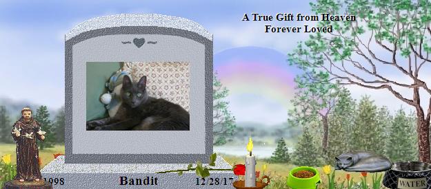 Bandit's Rainbow Bridge Pet Loss Memorial Residency Image