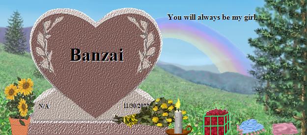 Banzai's Rainbow Bridge Pet Loss Memorial Residency Image