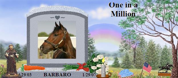 BARBARO's Rainbow Bridge Pet Loss Memorial Residency Image