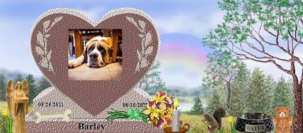 Barley's Rainbow Bridge Pet Loss Memorial Residency Image