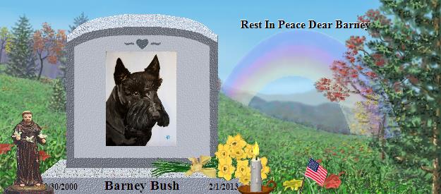 Barney Bush's Rainbow Bridge Pet Loss Memorial Residency Image