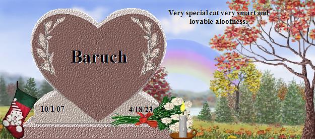 Baruch's Rainbow Bridge Pet Loss Memorial Residency Image