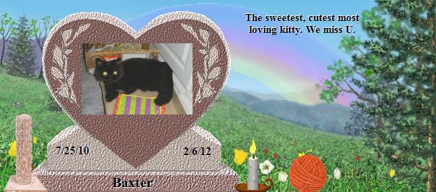 Baxter's Rainbow Bridge Pet Loss Memorial Residency Image