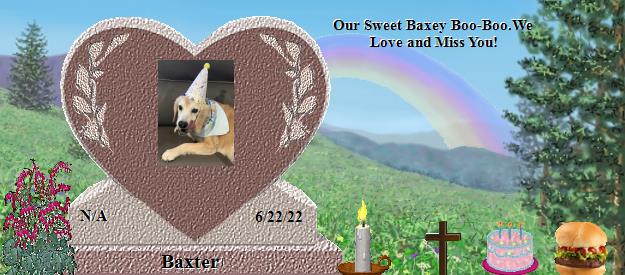 Baxter's Rainbow Bridge Pet Loss Memorial Residency Image