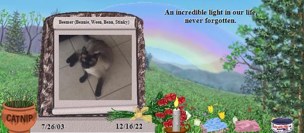 Beemer (Beanie, Ween, Bean, Stinky)'s Rainbow Bridge Pet Loss Memorial Residency Image