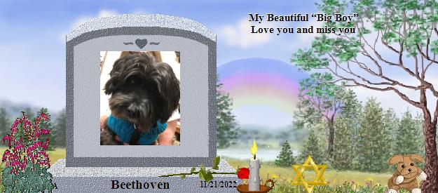 Beethoven's Rainbow Bridge Pet Loss Memorial Residency Image