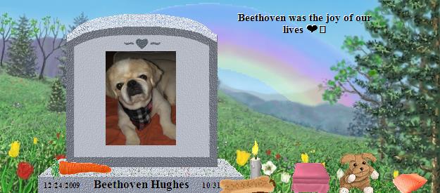 Beethoven Hughes's Rainbow Bridge Pet Loss Memorial Residency Image