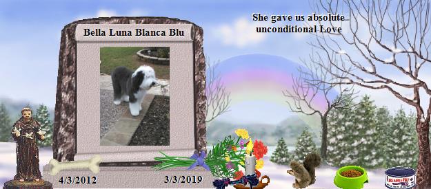 Bella Luna Blanca Blu's Rainbow Bridge Pet Loss Memorial Residency Image
