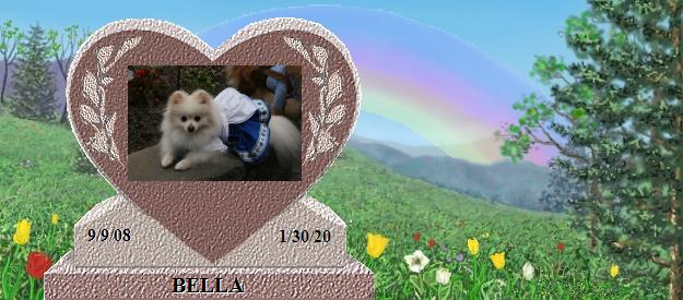BELLA's Rainbow Bridge Pet Loss Memorial Residency Image