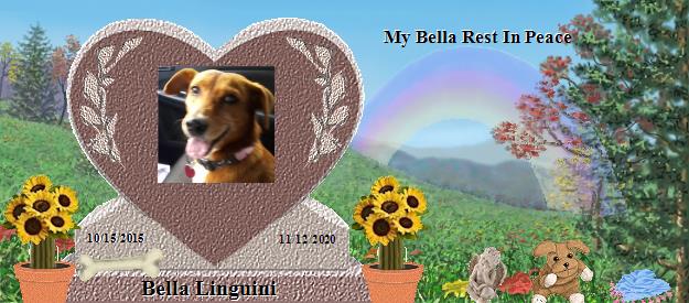 Bella Linguini's Rainbow Bridge Pet Loss Memorial Residency Image