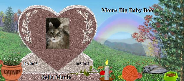 Bella Marie's Rainbow Bridge Pet Loss Memorial Residency Image