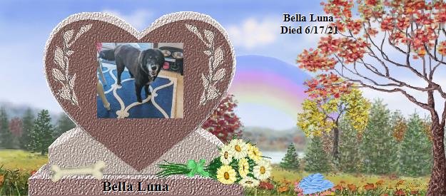 Bella Luna's Rainbow Bridge Pet Loss Memorial Residency Image
