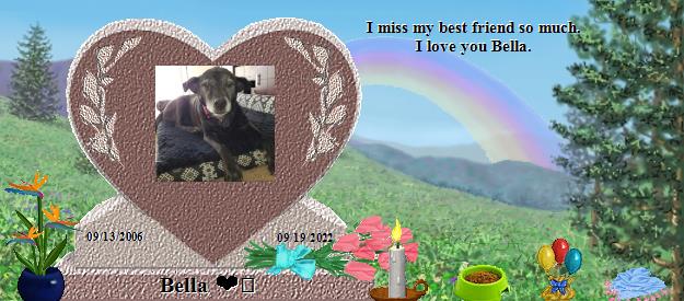 Bella ❤️'s Rainbow Bridge Pet Loss Memorial Residency Image