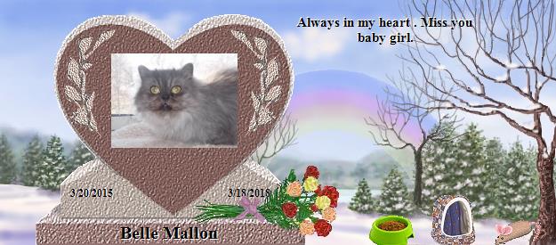 Belle Mallon's Rainbow Bridge Pet Loss Memorial Residency Image