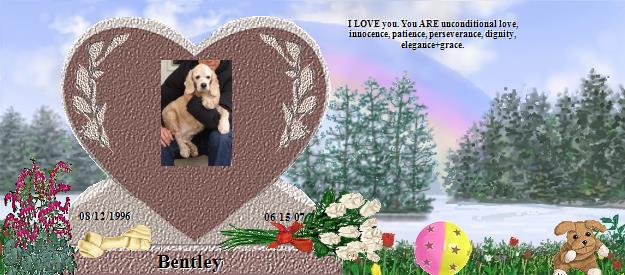 Bentley's Rainbow Bridge Pet Loss Memorial Residency Image