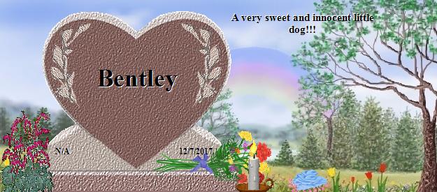 Bentley's Rainbow Bridge Pet Loss Memorial Residency Image