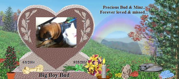 Big Boy Bud's Rainbow Bridge Pet Loss Memorial Residency Image