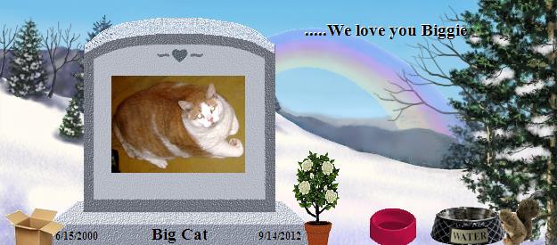 Big Cat's Rainbow Bridge Pet Loss Memorial Residency Image