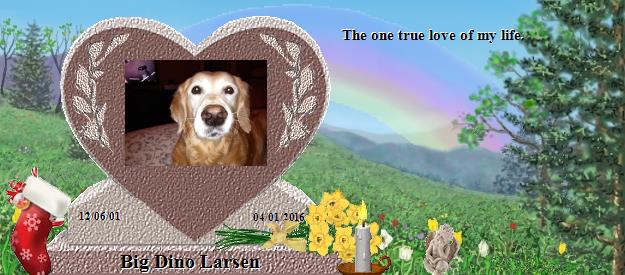 Big Dino Larsen's Rainbow Bridge Pet Loss Memorial Residency Image