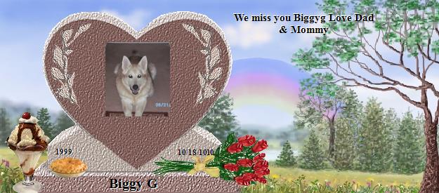 Biggy G's Rainbow Bridge Pet Loss Memorial Residency Image