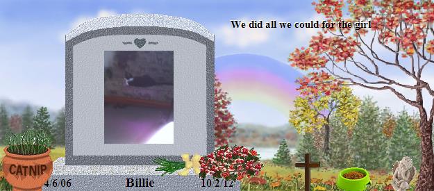Billie's Rainbow Bridge Pet Loss Memorial Residency Image