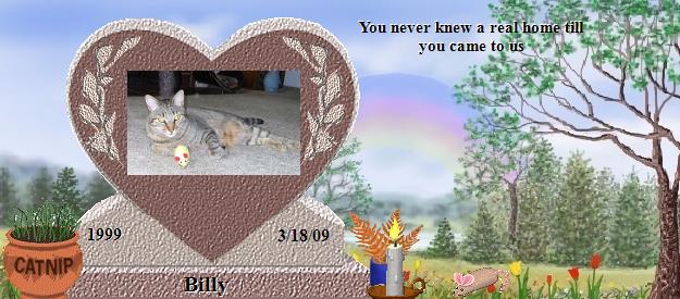 Billy's Rainbow Bridge Pet Loss Memorial Residency Image