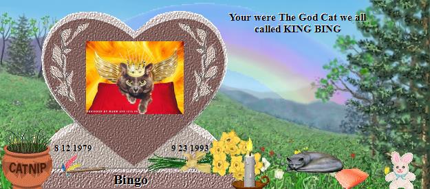 Bingo's Rainbow Bridge Pet Loss Memorial Residency Image