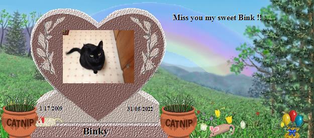 Binky's Rainbow Bridge Pet Loss Memorial Residency Image